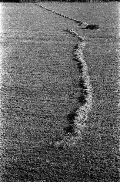 over (49).jpg